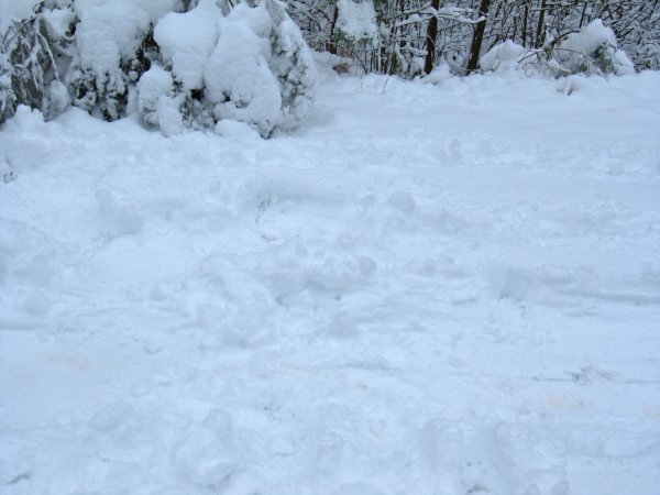 legless snow angel (it's there, really)