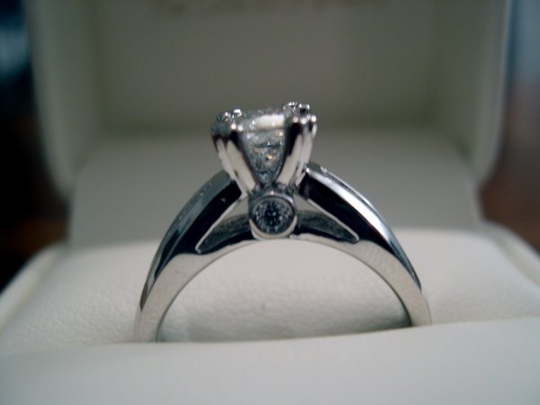 Engagement Ring (side view)