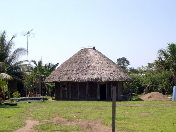 Mayan-Style Grass Hut
