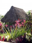 Palm-Roofed Hut
