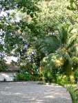 Near the Mayan Ruins