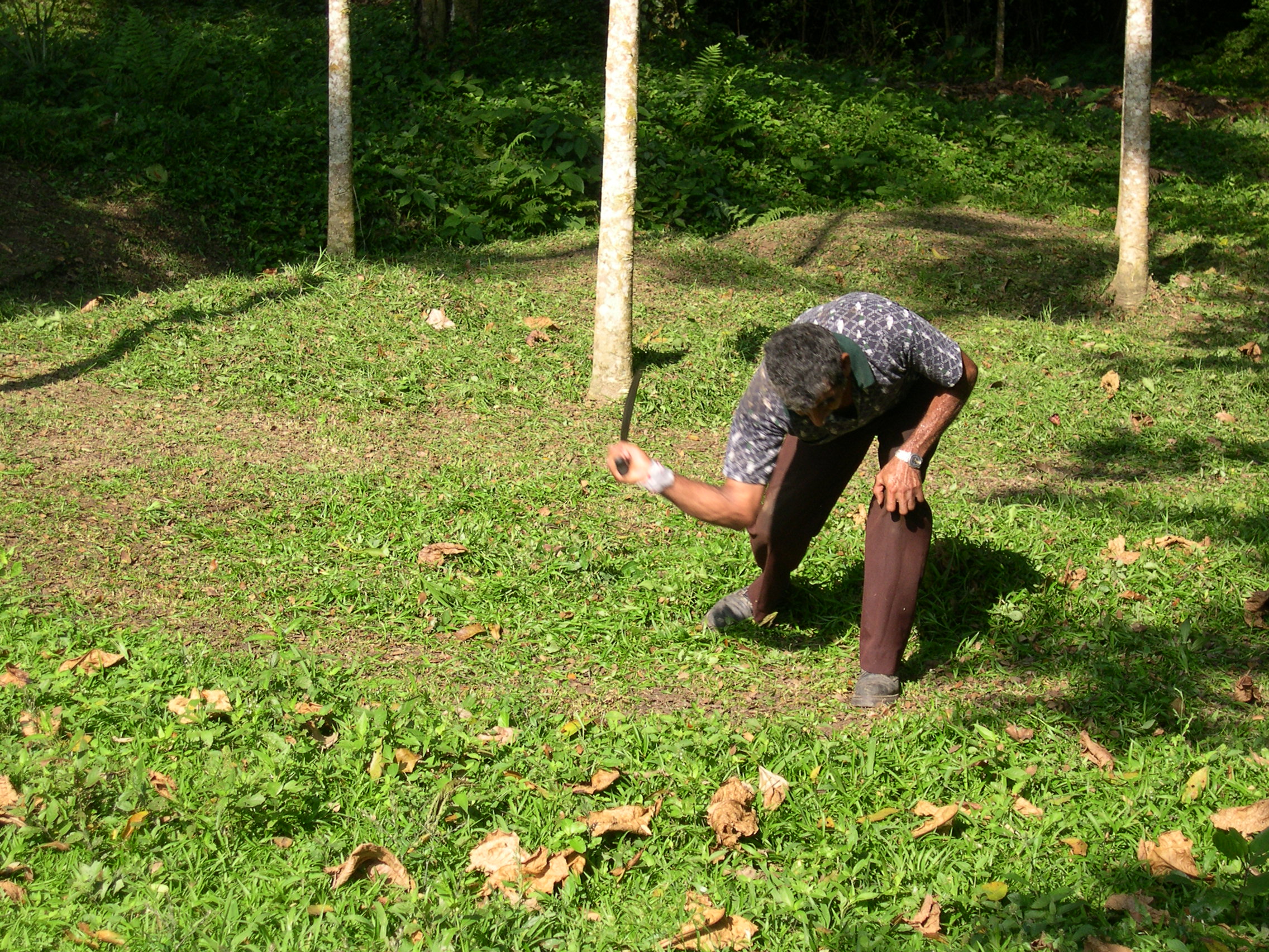 Lawn Mower!