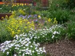 Washington D.C. - The Mall - Smithsonian Garden 3