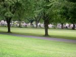 Cemetary - So many tombstones packed together.