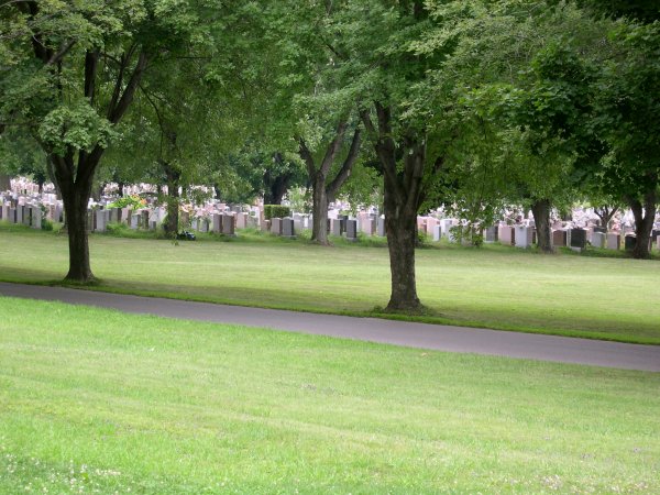 Cemetary - So many tombstones packed together.