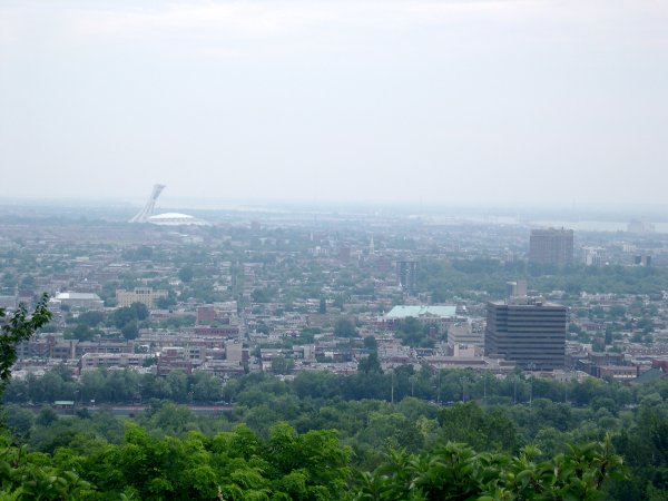 A view of Montreal from the hill.