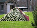 The Citadel - Interesting flower arrangement, shaped like cannon balls.