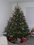 Christmas Tree (2)