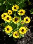 DSCN1053.JPG
