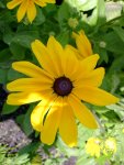 DSCN1057.JPG