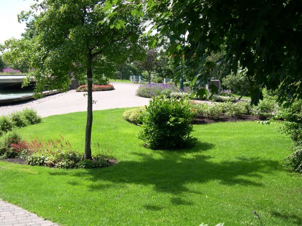 DSCN1060.JPG