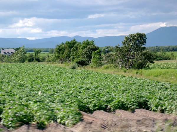 DSCN1135.JPG