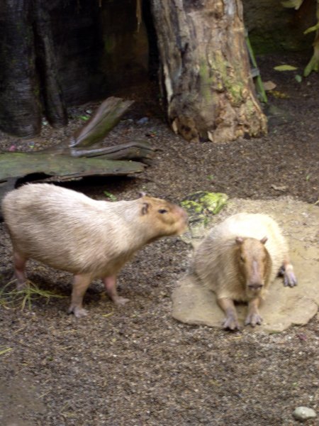 DSCN1160.JPG