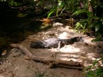 DSCN1178.JPG
