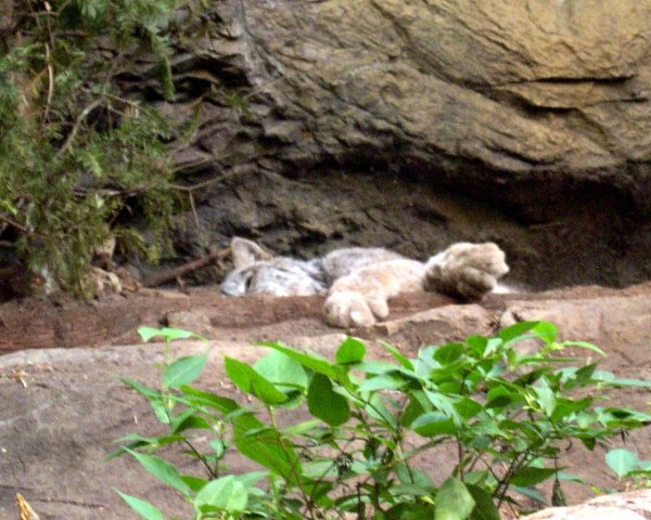 DSCN1193.JPG