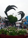 Fisherman's Wharf - Aquarium of the Bay