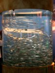 Huge Tank of Fish