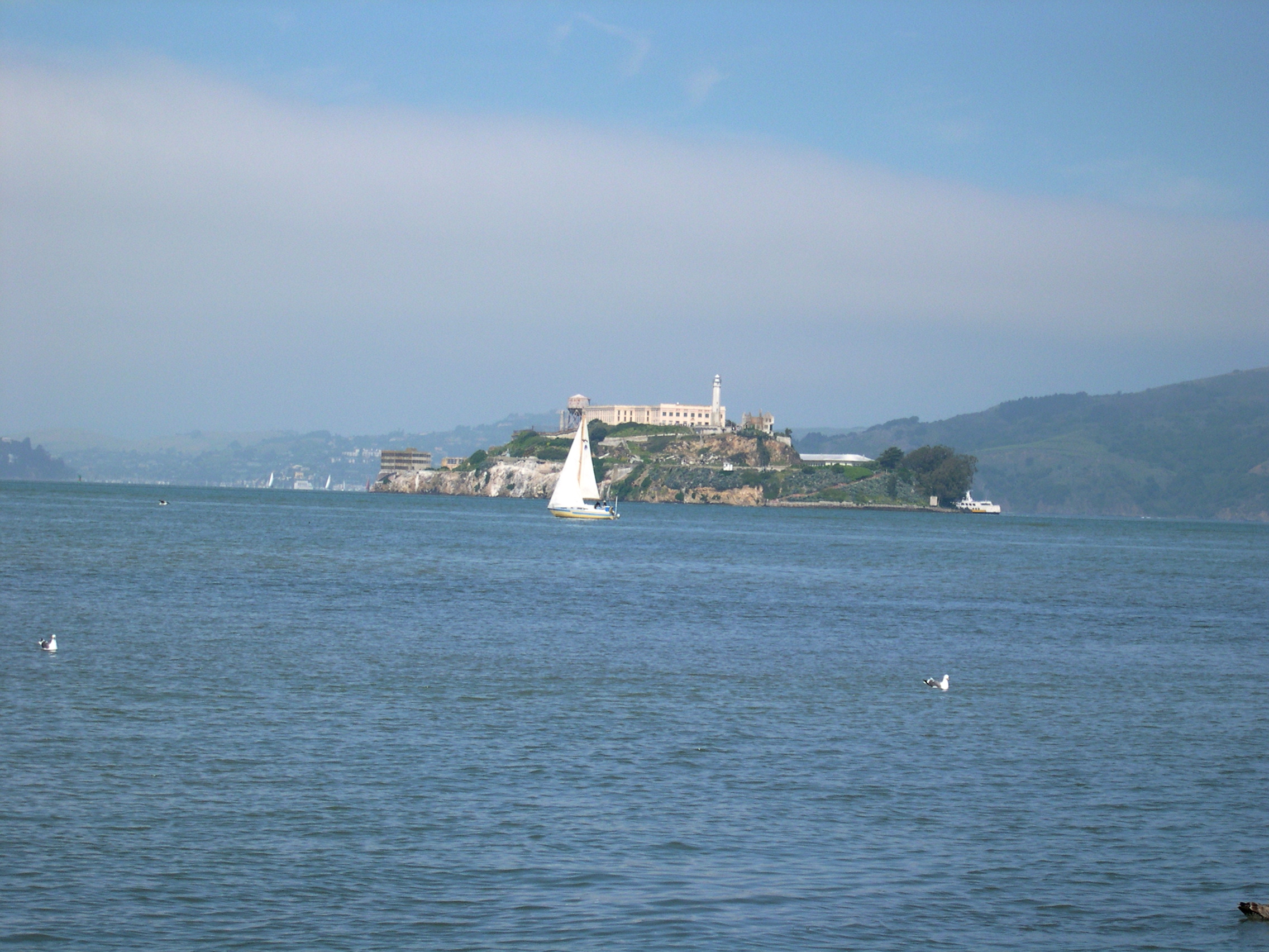 Alcatraz Island