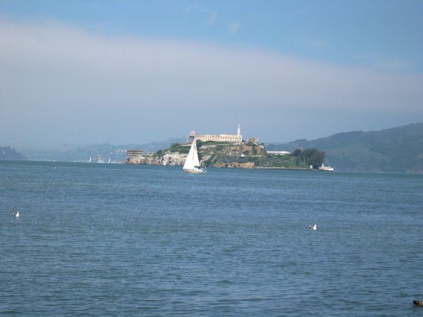 Alcatraz Island