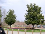 Landscaping Outside the Entrance