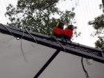 Aviary (4)