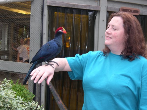 Bird on Cyn's Arm (Something from Africa?)