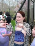 Lorikeet Attacking Kelley