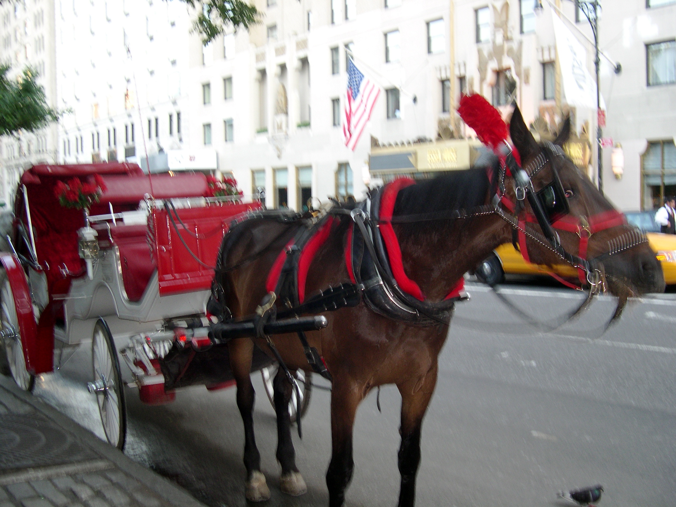 our ride (a bit fuzzy)