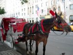 our ride (a bit fuzzy)
