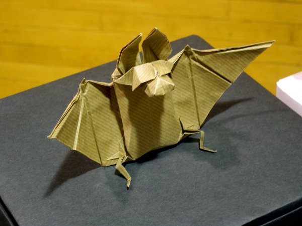 Bat