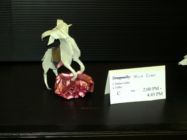 Wild Goat