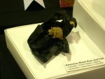 american black bear and cub