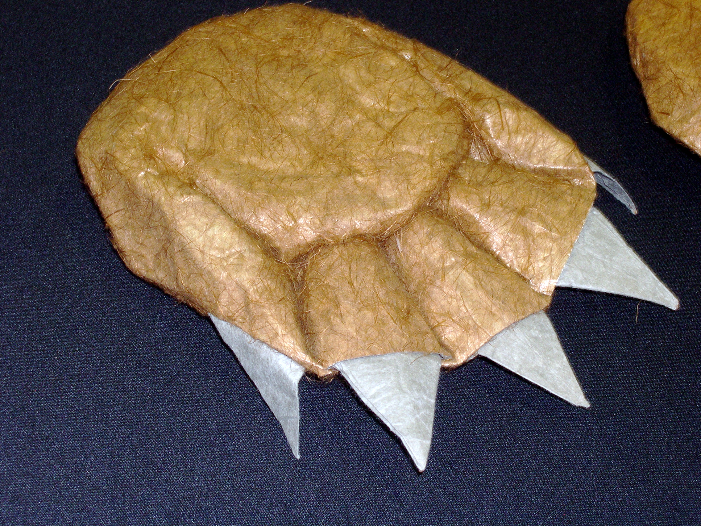 bear claw