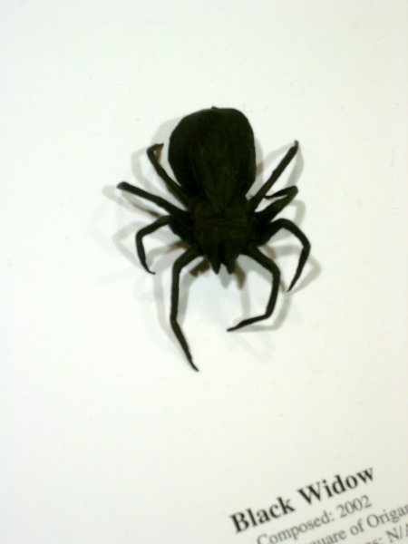 black widow spider