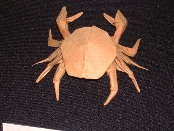 crab