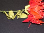 crane rose (closeup)