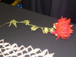 crane rose