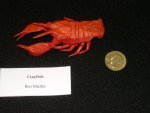 crayfish (by Ben Muller)