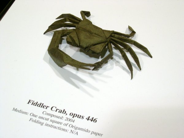 fiddler crab