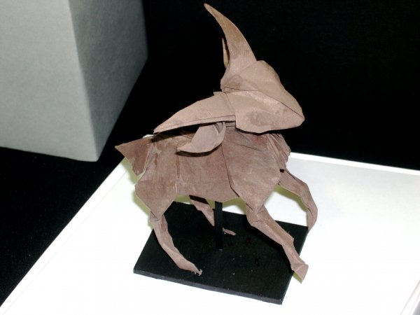 goat