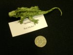iguana (by Ben Muller)