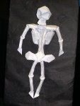 skeleton