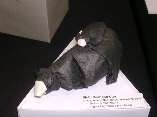 sloth bear and cub