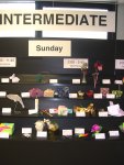 class display (10)