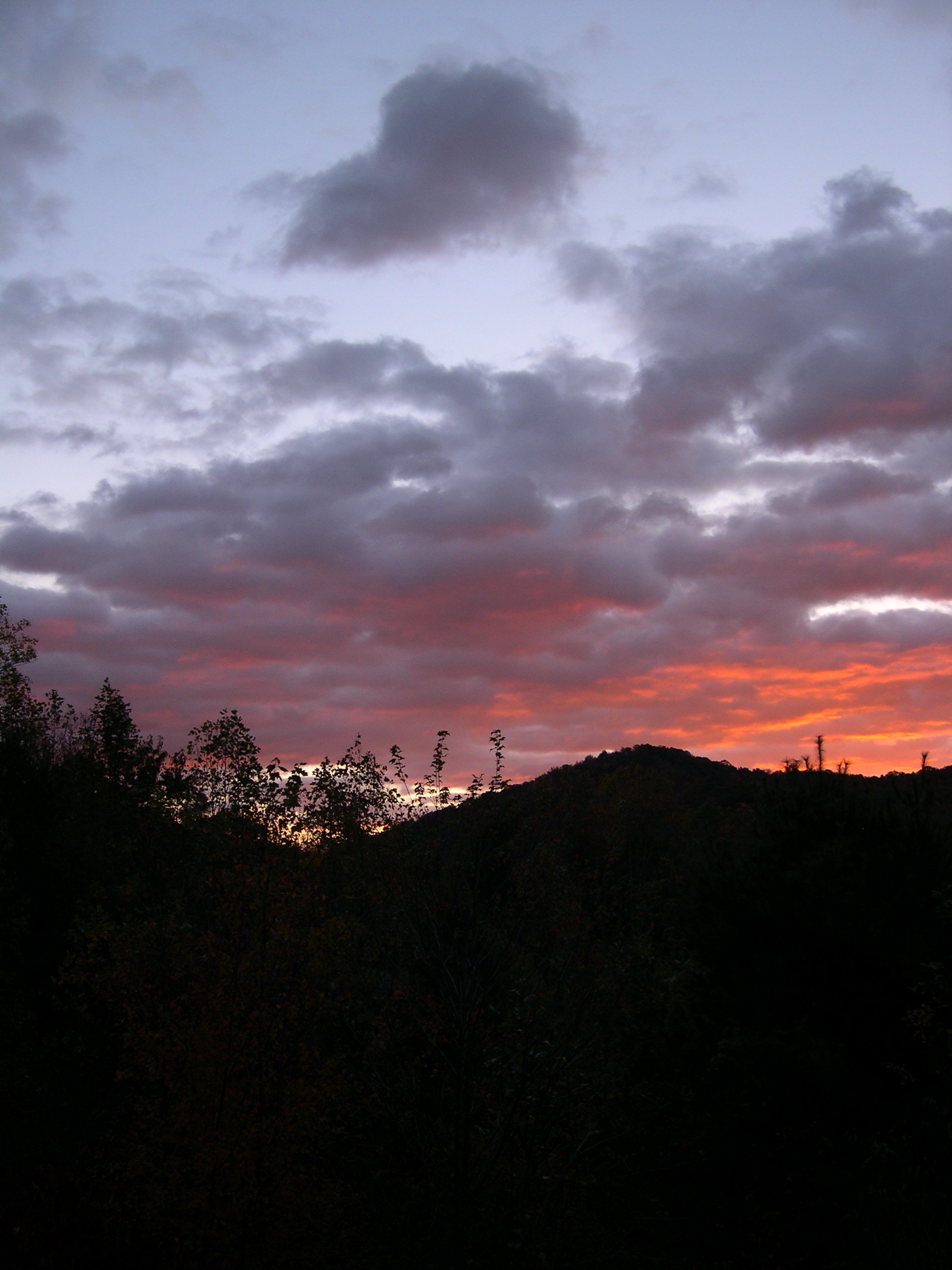 DSCN2893.JPG