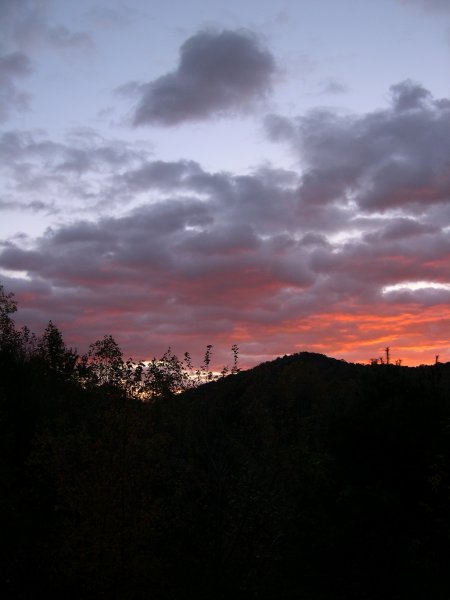 DSCN2893.JPG