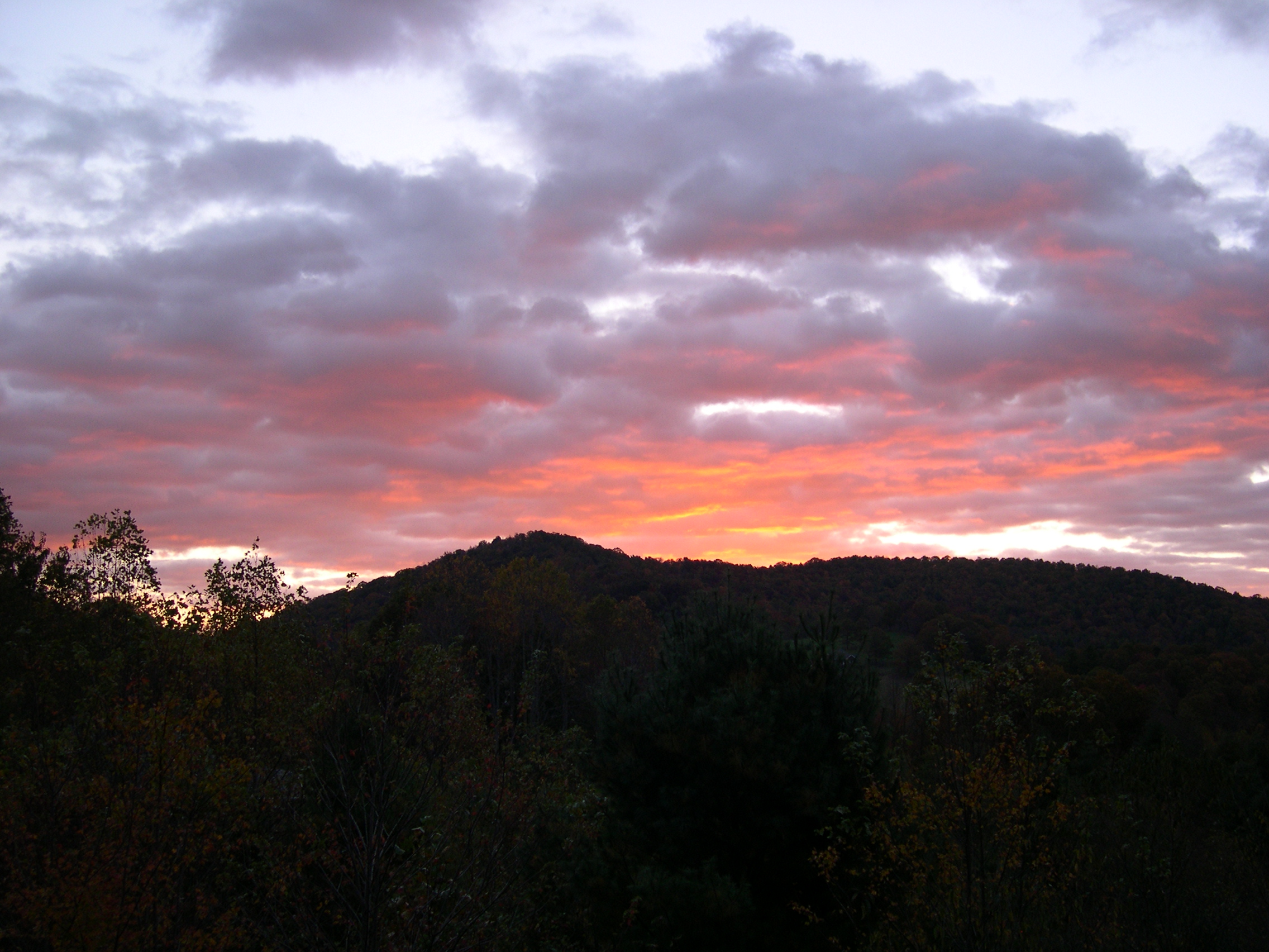 DSCN2894.JPG