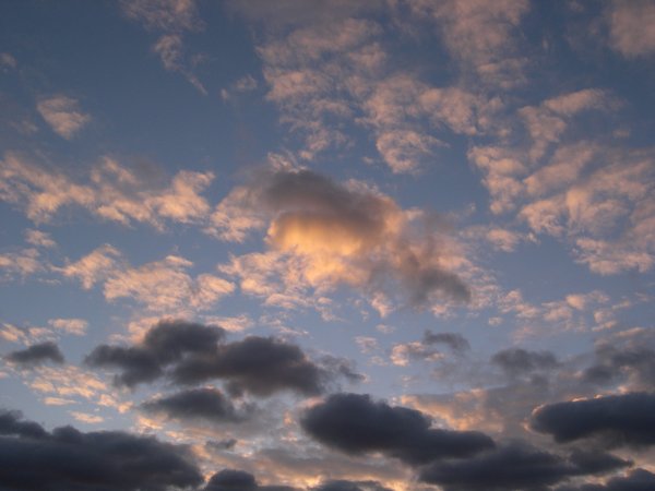 DSCN2904.JPG