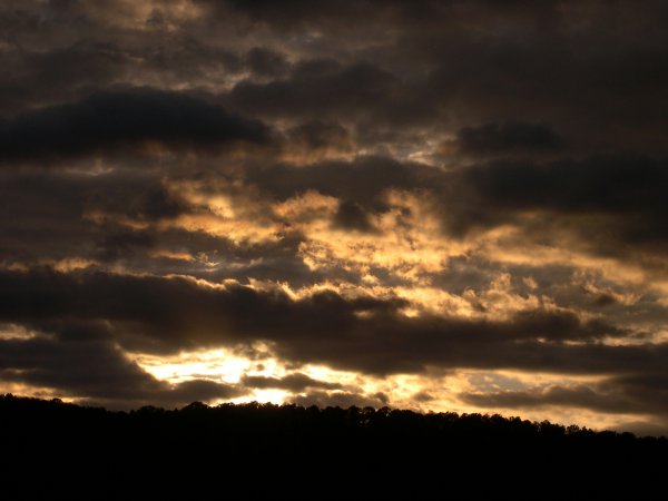 DSCN2920.JPG