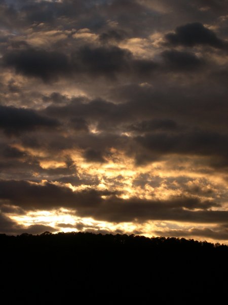 DSCN2921.JPG